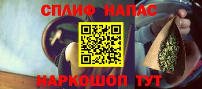прущие грибы Лесосибирск