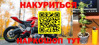 прущие грибы Лесосибирск
