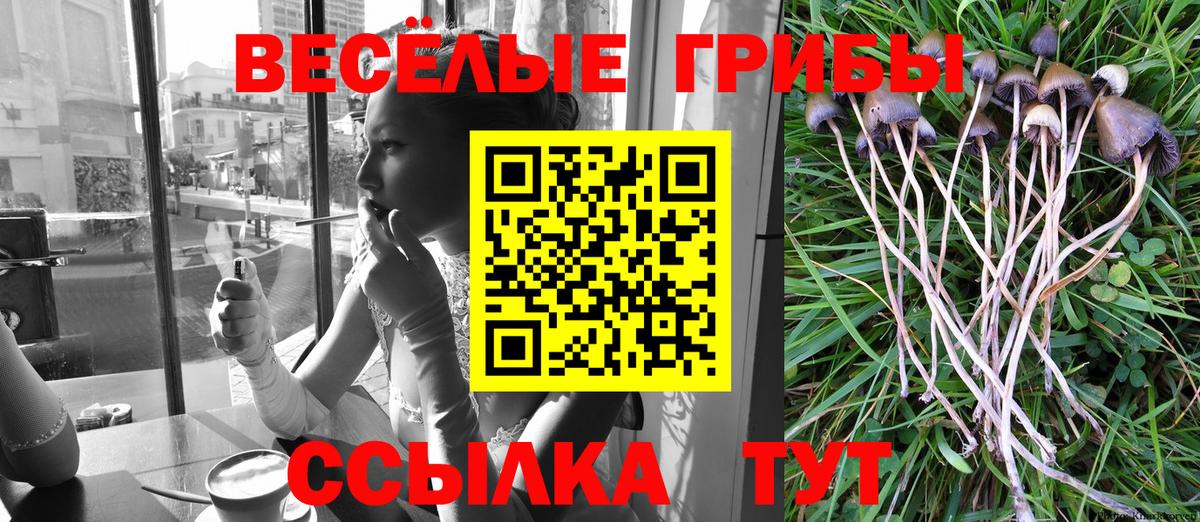Псилоцибиновые грибы Cubensis Ялта