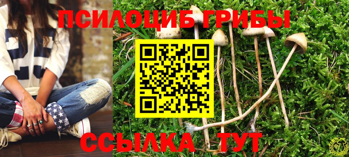 Ялта  Галлюциногенные грибы MAGIC MUSHROOMS  Псилоцибиновые грибы Psilocybe  Вход с VPN 